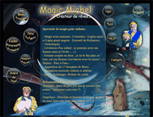 Tablet Screenshot of magic-michel.com